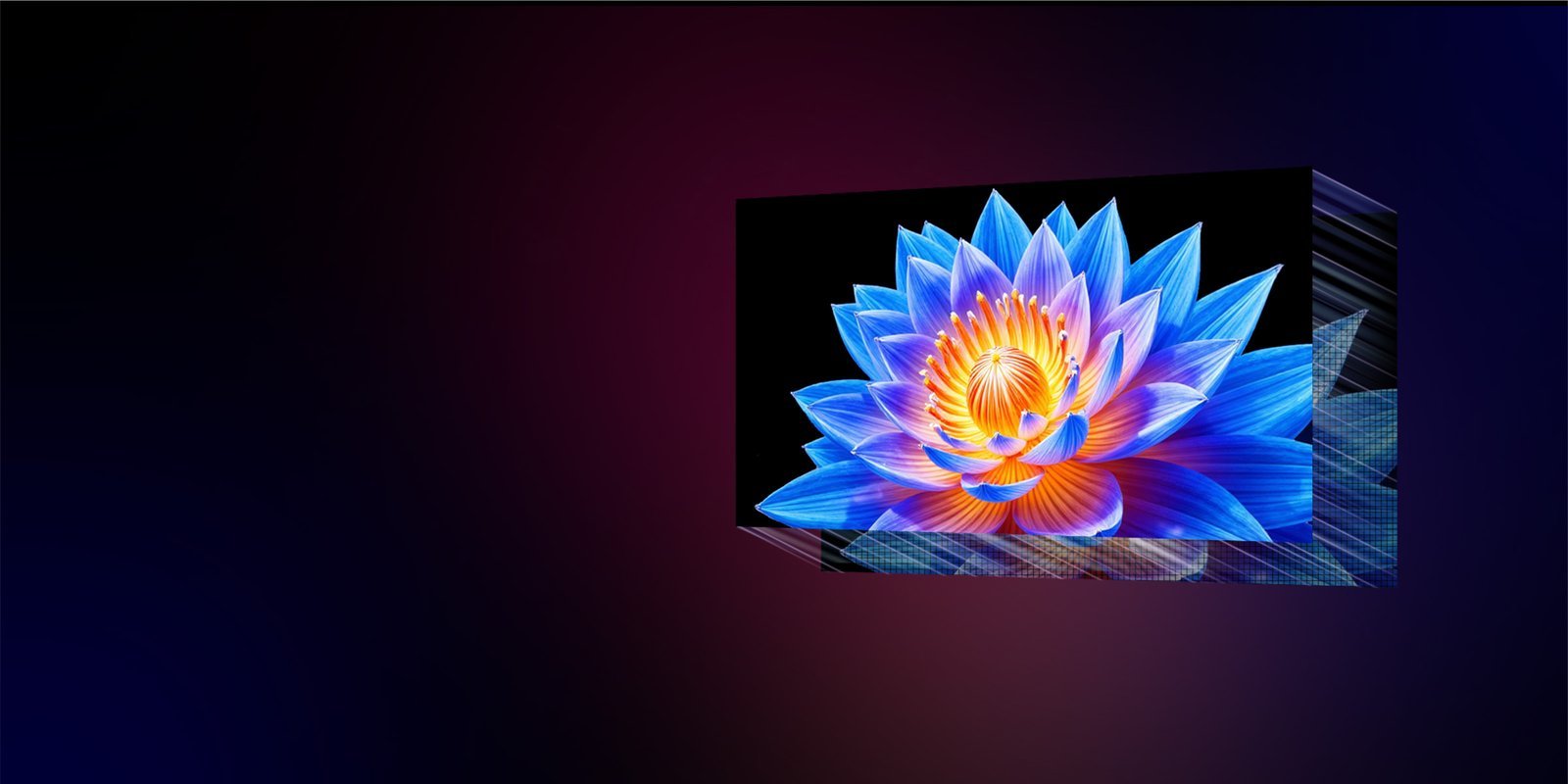 65″ 4K OLED TV
